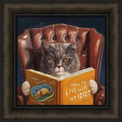 Home improvement lucia - by,
